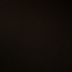 Meet your Posher, Sandy